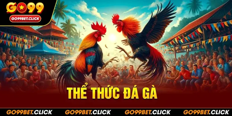 Thể thức đá gà